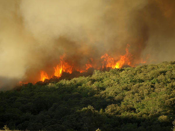 Cuando el verano se vuelve enemigo: medidas urgentes para evitar incendios en el campo
