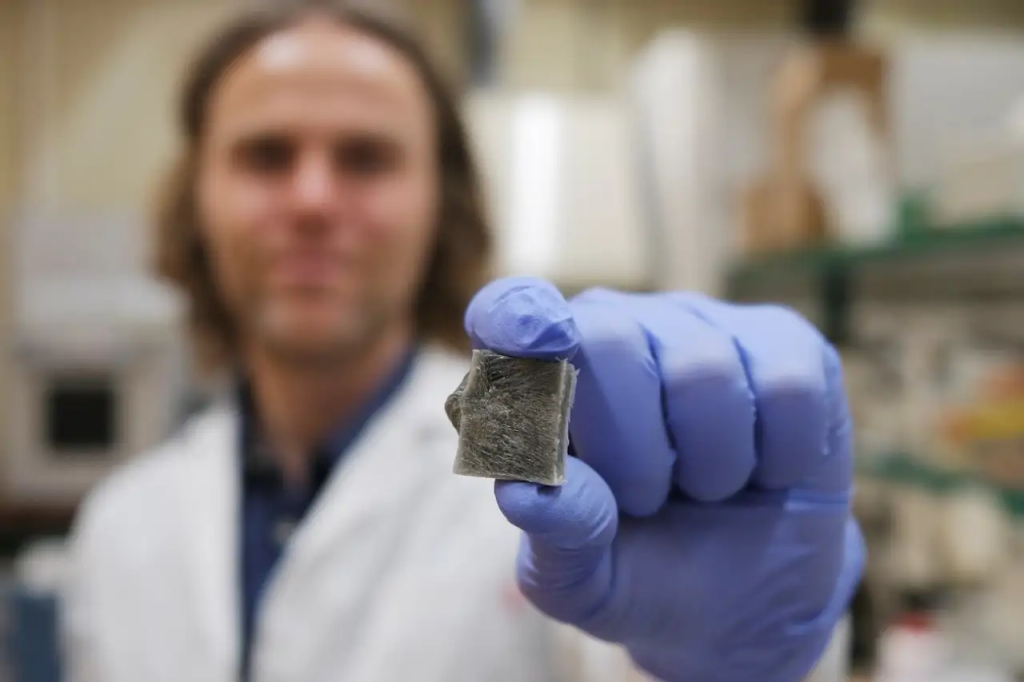 Innovación sostenible: material de algas marinas para prevenir incendios y generar energía